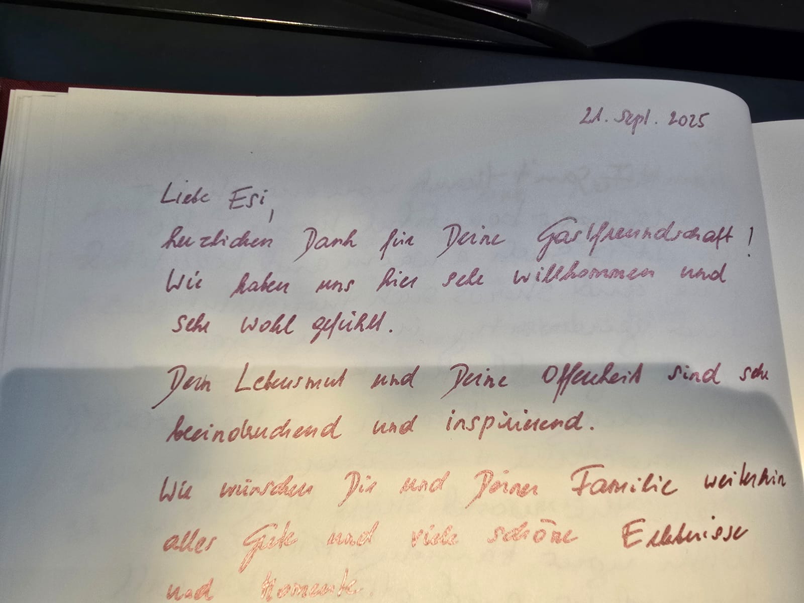 Bild-7